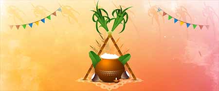 Pongal Festival – Date, History, Significance, and Celebrations